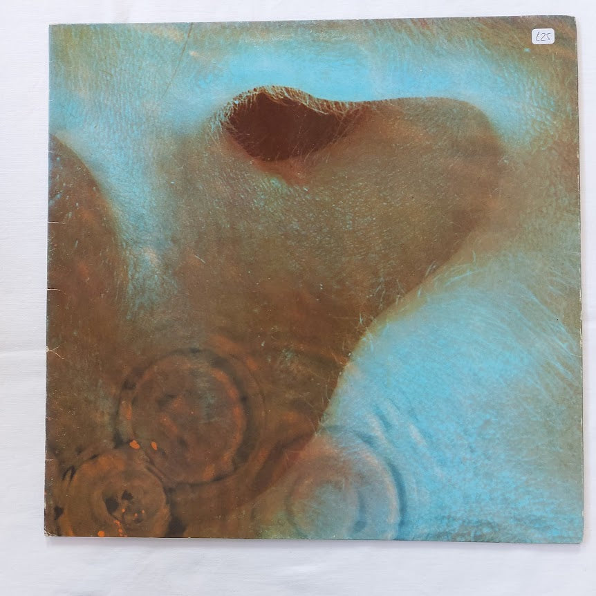 Pink Floyd - Meddle – Slipped Discs - Records, CDs and Music